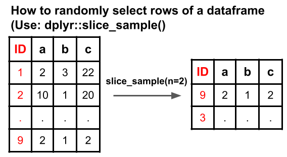 how-to-randomly-select-rows-from-a-dataframe-in-r-rstats-101